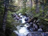 Talapus Creek